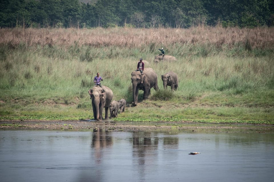 Chitwan Jungle Safari 2 Nights 3 Days - Cultural Experiences