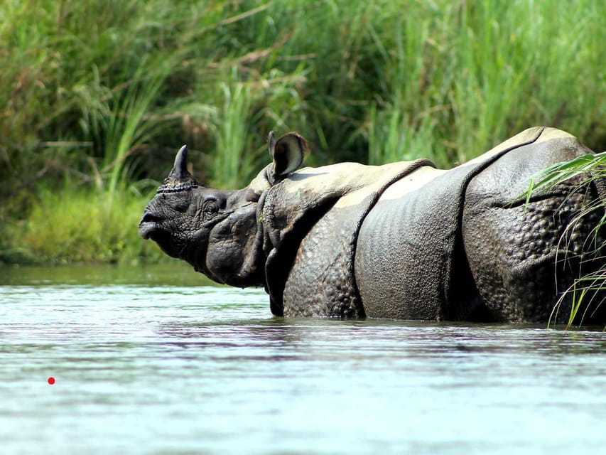 Chitwan Jungle Safari: 3-Day Wildlife Expedition - Pricing Information