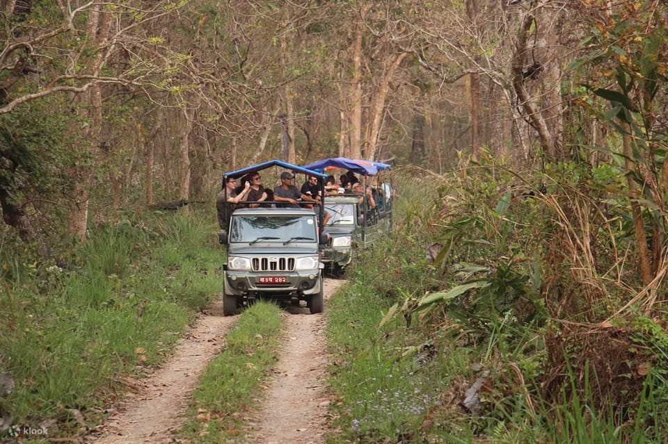 Chitwan National Park: Jeep Safari Tour With Guide - What to Prepare for Your Tour