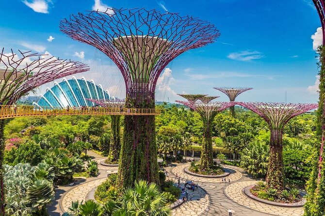 City Tour+Gardens by the Bay(CloudForest&Super Tree)Transfers - Reviews and Feedback