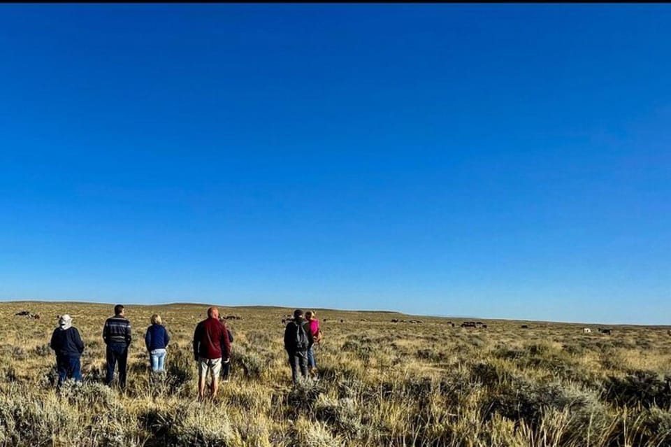 Cody: Red Canyon Wild Mustang Tour - Codys Wild West Heritage