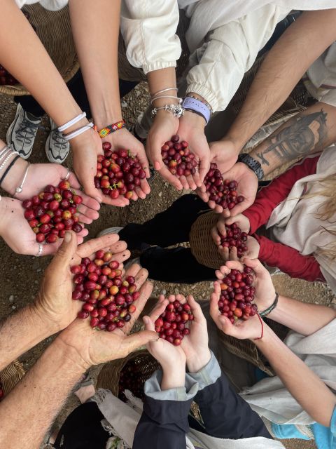 Coffee Tour in Garden Antioquia - From Medellín - Accessibility and Transportation