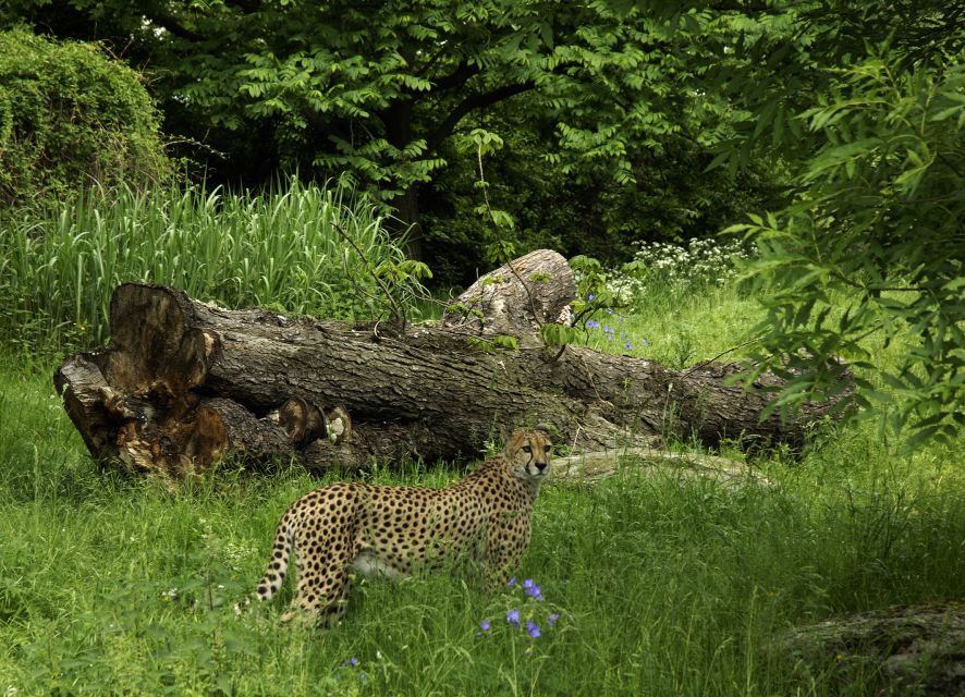 Cologne: Cologne Zoo and Aquarium Entry Ticket - On-Site Amenities