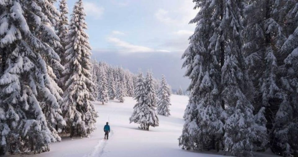 Colorado Backcountry: Guided Snowshoe Tour - Booking Your Adventure