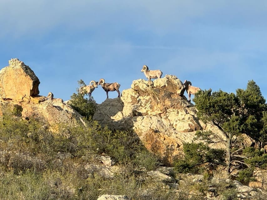 Colorado Springs: Garden of the Gods & Manitou Springs Tour - Jeep Tour Experience