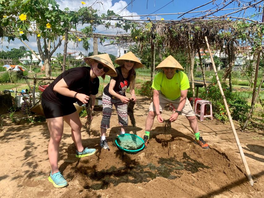 Cooking Class in Tra Que Organic Vegetable Village - Location and Accessibility