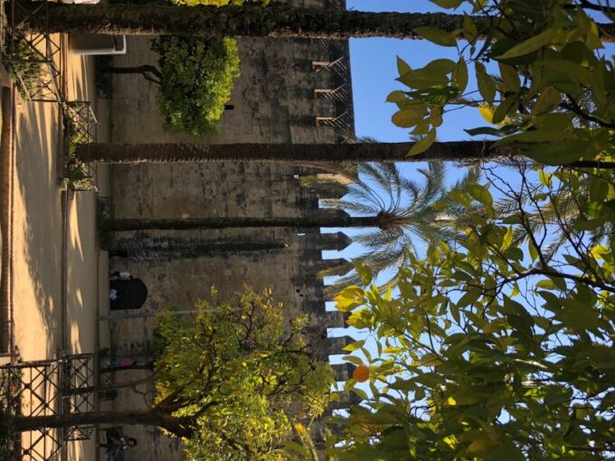 Córdoba: Private Bike Highlights Tour With Personal Guide - Cancellation Policy
