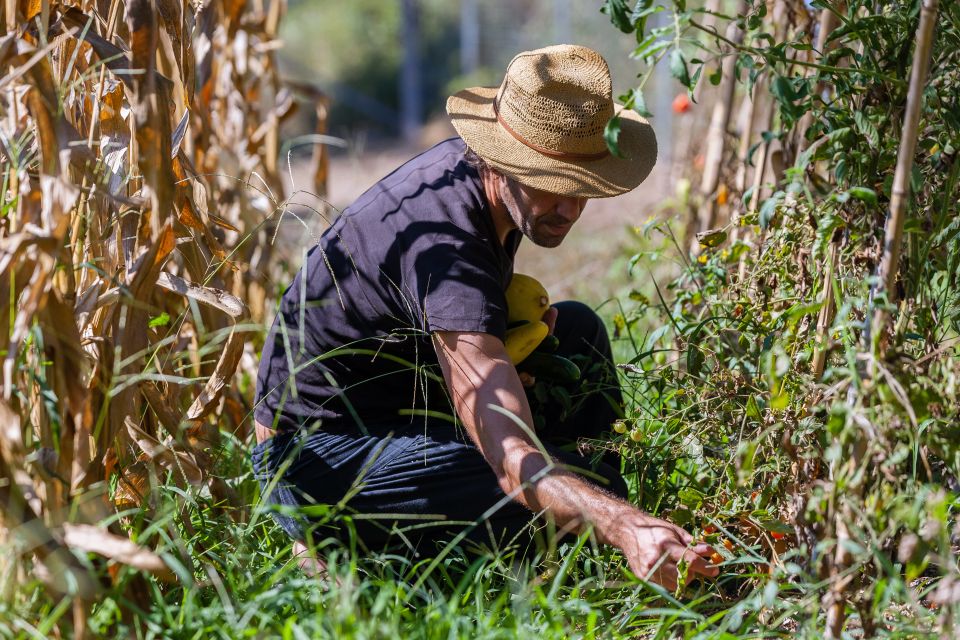 Corfu: Organic Olive Oil Farm Tour With Transfer and Tasting - Customer Reviews