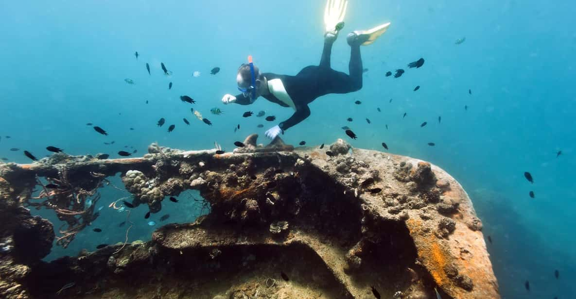 Coron Reef and Wrecks Tour (Private Tour) - Frequently Asked Questions