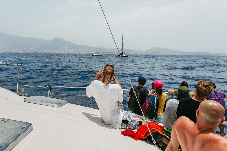 Costa Adeje: Whale Watching Catamaran Tour With Drinks - Departure and Reservation Details