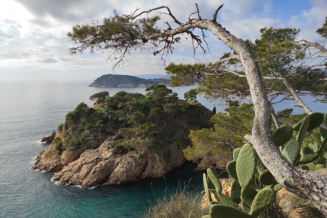 Costa Brava Coast Hike and Snorkel From Barcelona With Lunch - Getting to the Meeting Point