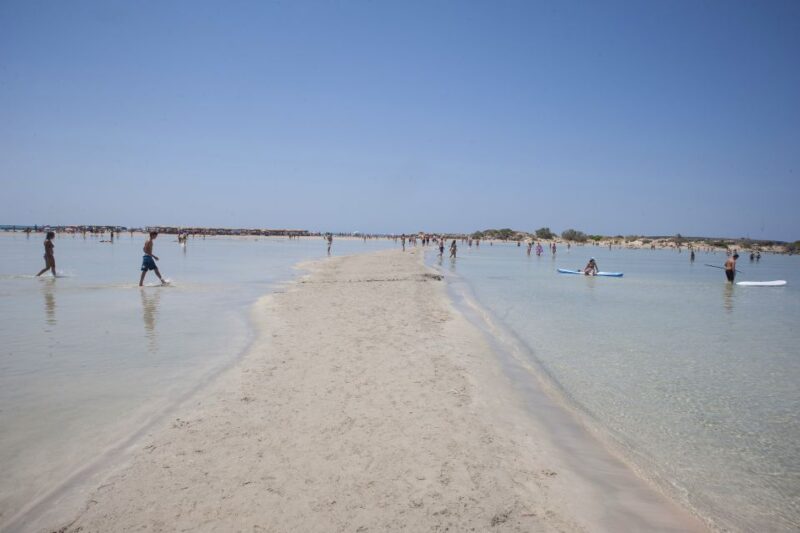 Crete: Elafonisi Beach - Wildlife and Conservation