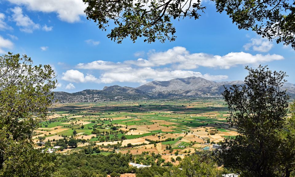 Crete: Lasithi Plateau, Zeus Cave, & Knossos Palace Day Trip - Tour of Olive Oil Factory