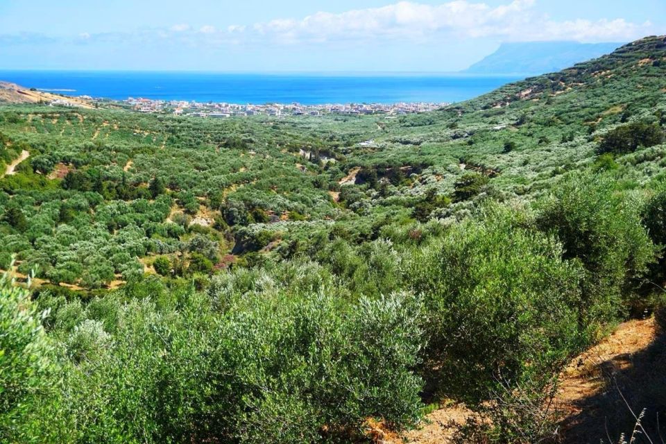 Crete Olive Oil Tasting ,Wine, Raki, and Cretan Food! - Traditional Village