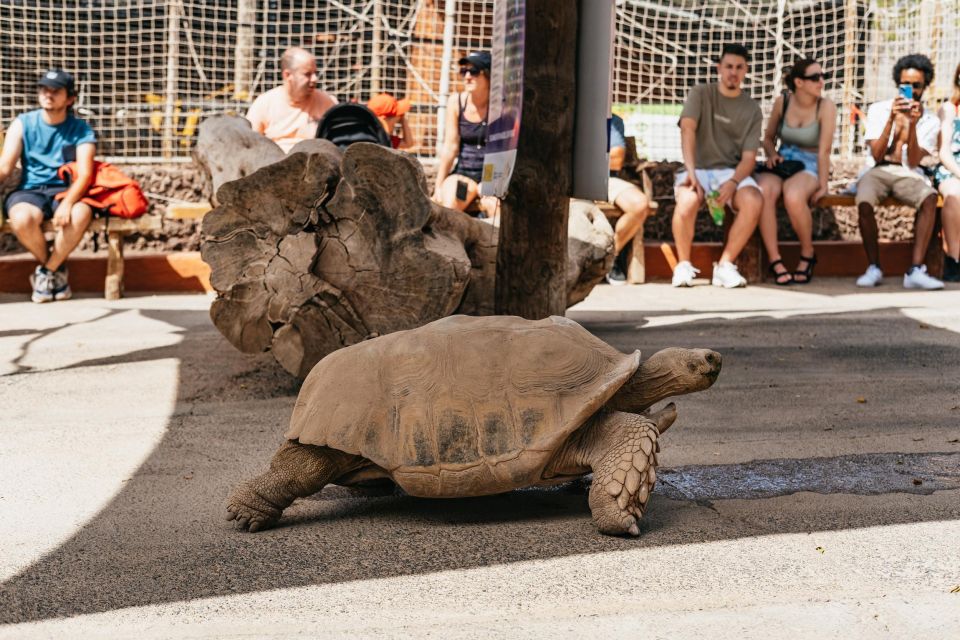 Crocodile Park Zoo Entry Ticket - Getting to Cocodrilo Park