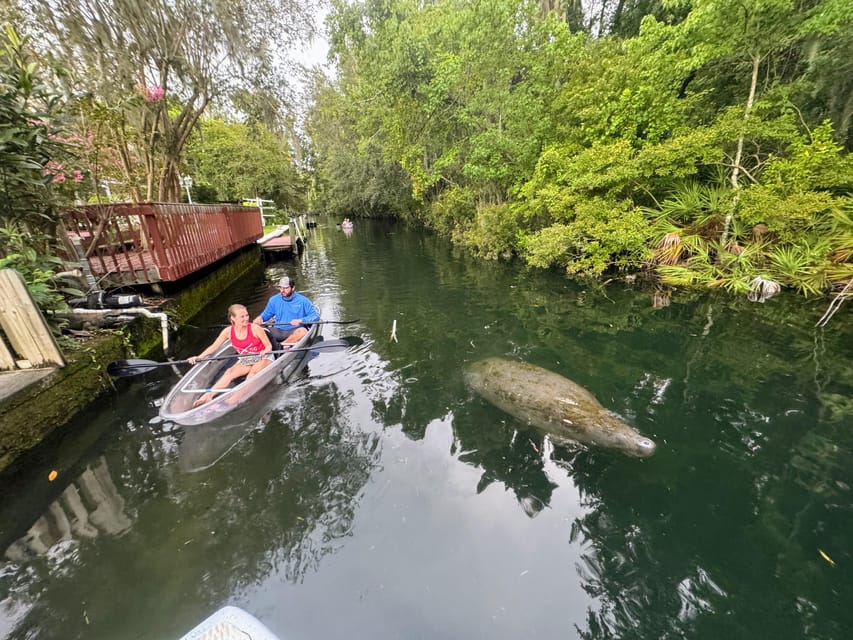 Crystal River Clear Kayak Sunset & Night Glow Tour - Frequently Asked Questions