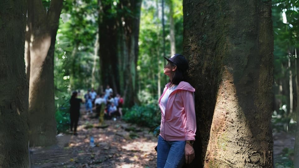 Cuc Phuong National Park Group Day Tour In Ninh Binh - Picnic Lunch Experience