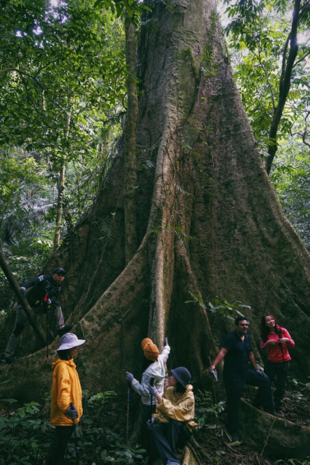 Cuc Phuong National Park: Trek & Camp in Jungle 2 Days - Safety Guidelines