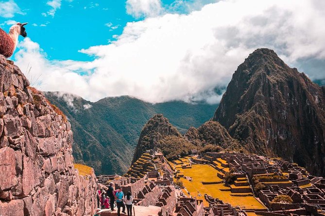 Cusco & Manu (8 Days Package Tour) - Traveler Feedback