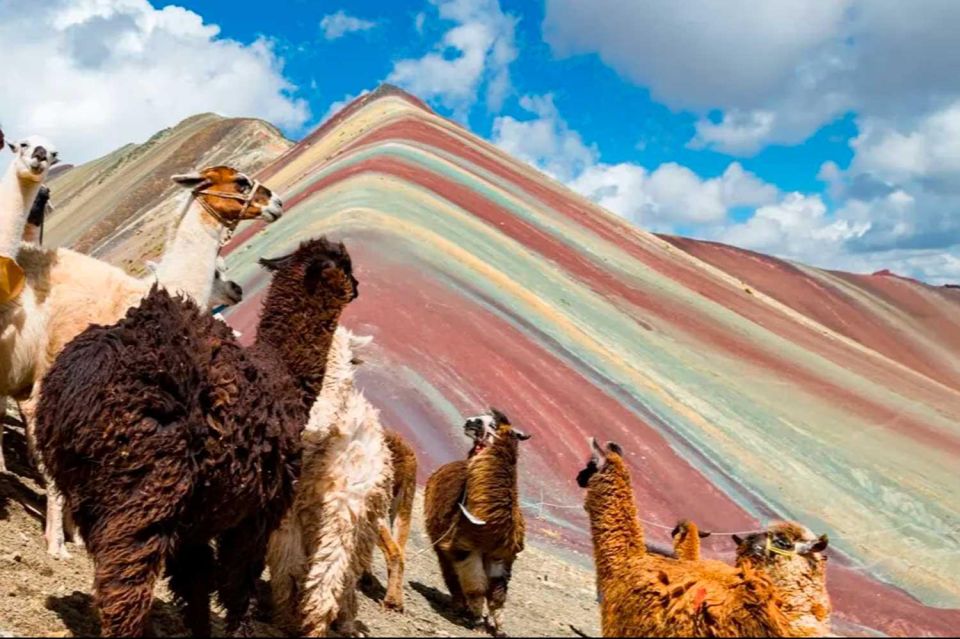 Cusco: Rainbow Mountain and Red Valley Trip With 2 Meals - What to Bring