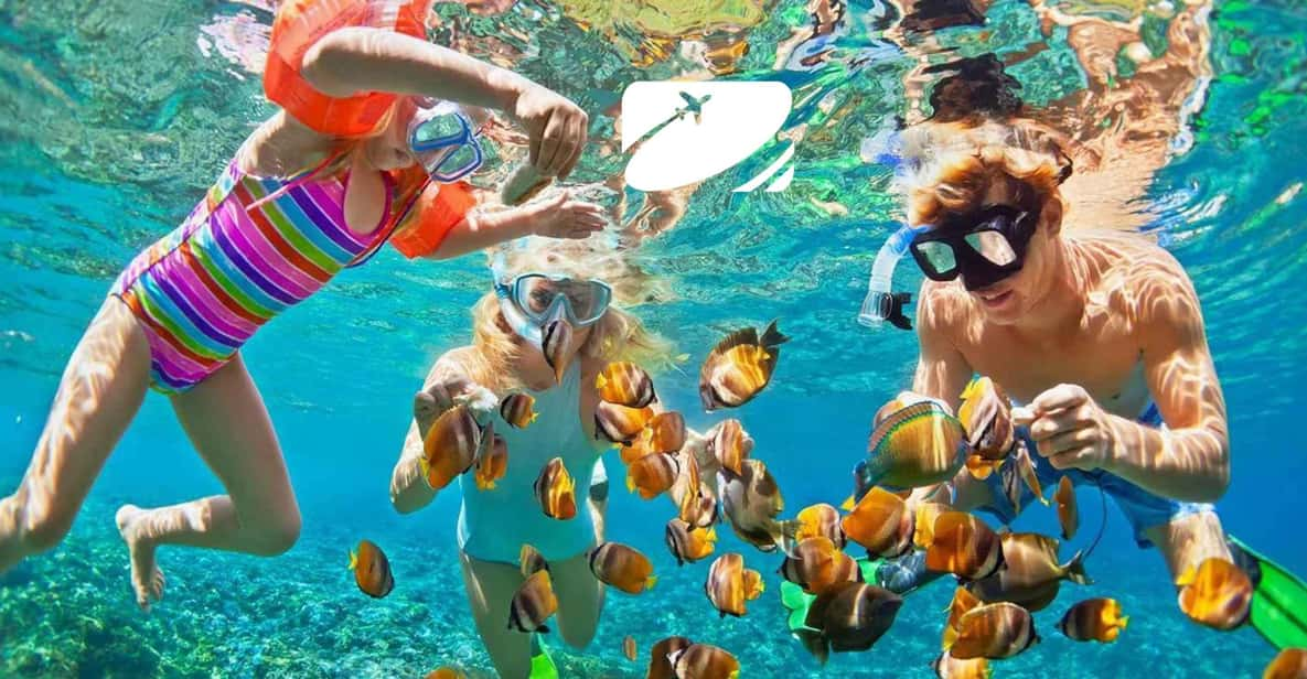 Da Nang: Cham Island Snorkeling and Sightseeing Tour - Snorkeling and Swimming Experience