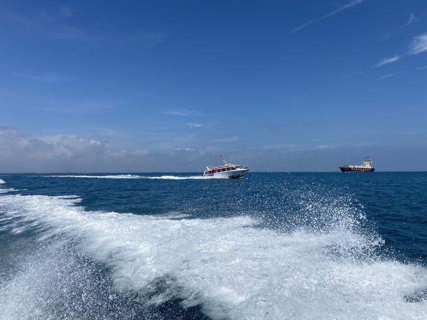 Da Nang/Hoi An: Cham Island Snorkeling Daily Group Tour - Customer Feedback