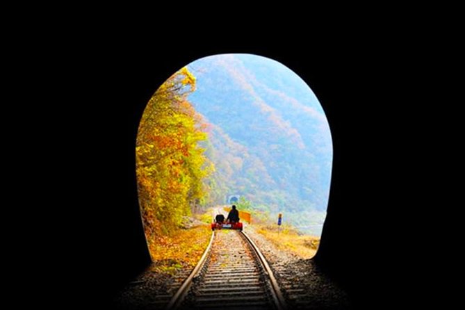 Day Tour to Gangchon Rail Bike Nami Island and Petite France - Inclusions and Amenities