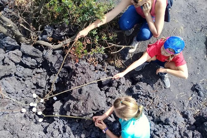 Day Tour to Pacaya Volcano From Antigua Guatemala on Private Vehicle - Volcano Exploration