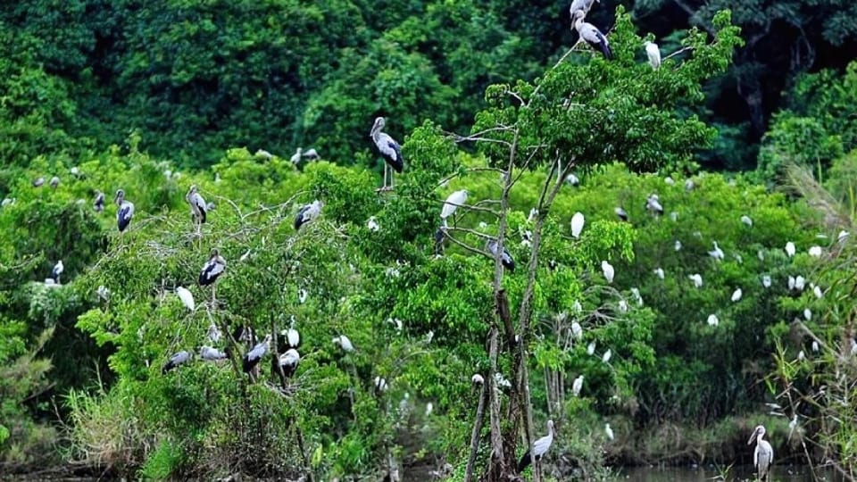 Day Trip for a Group to Cuc Phuong National Park - Tips for a Successful Trip