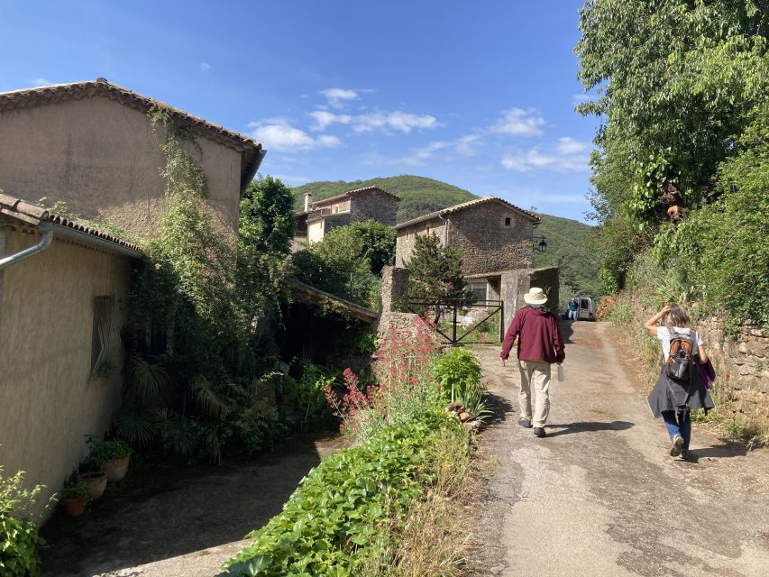 Day Trip From Nîmes to UNESCO Mountains of Cevennes - Dining Options During the Trip