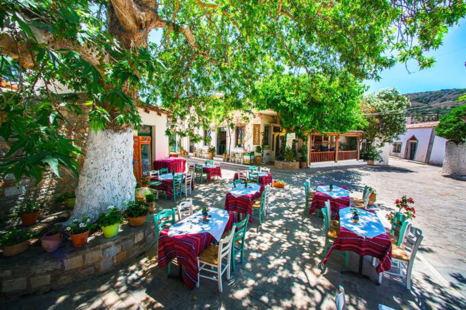 Day Trip to Agios Nikolaos Spinalonga Olive Oil Factory - Olive Oil Factory Visit