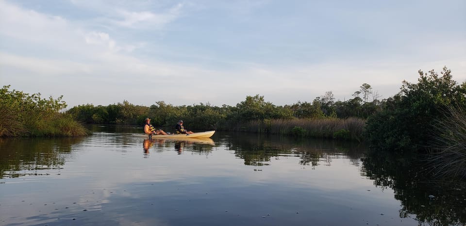 Daytona/New Smyrna Beach: Unforgettable Kayak Wildlife Tours - Booking and Reservation Information