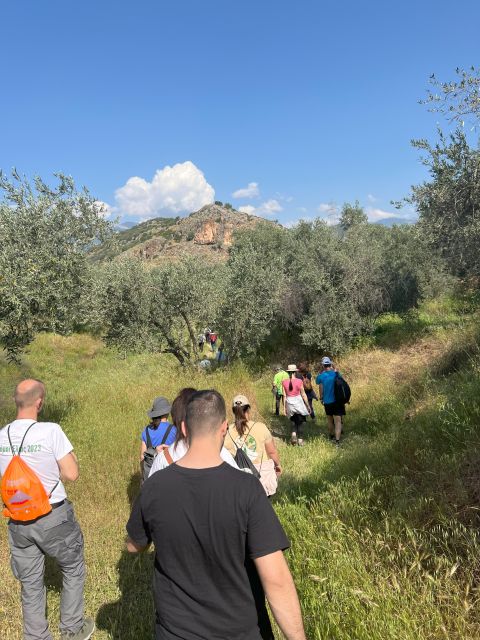 Delphi: Easy Hike From the Monastery to the Mycenaean Tomb - Exploring Profitis Ilias Monastery