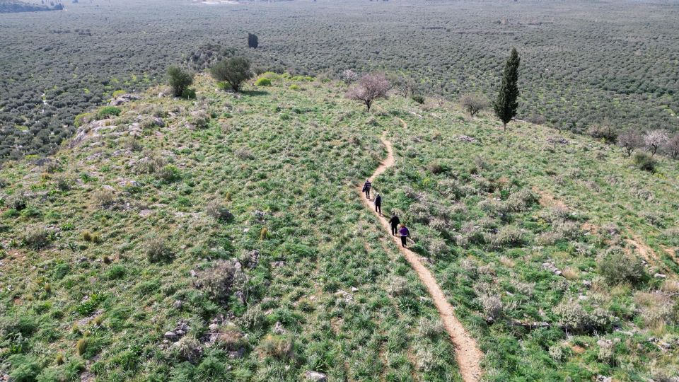 Delphi: Easy Hike on Ancient Path Through the Olive Groves - Meeting and Drop-off Points