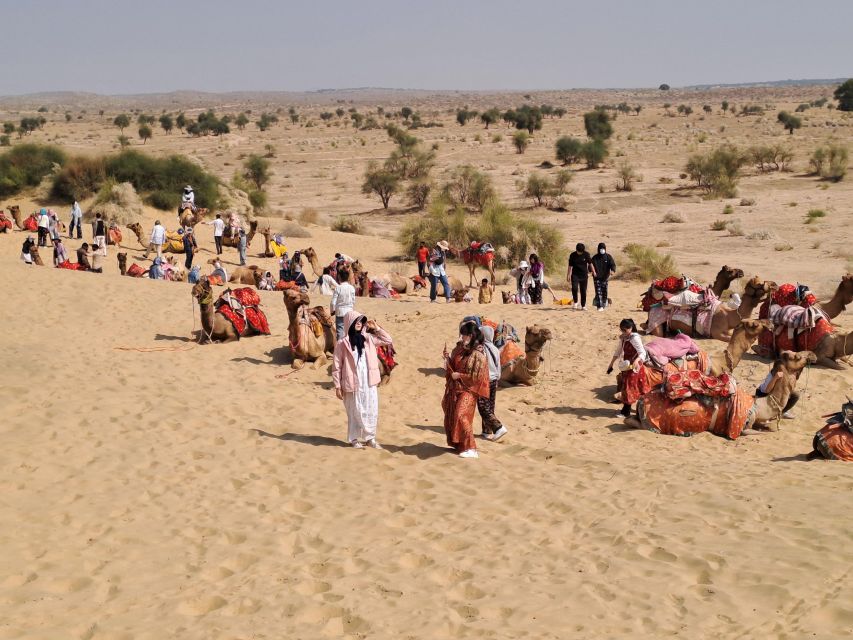 Desert Rose Jaisalmer: Luxury Tent In Thar Desert - Frequently Asked Questions