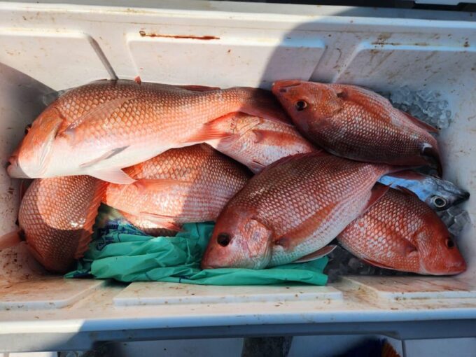 Destin: Fish and Fun Destin! - Included Services and Perks