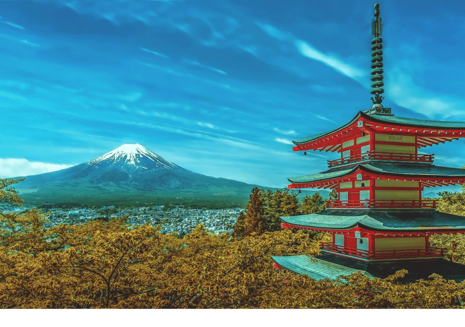 Discover Mount Fuji: Private Car/Van Day Tour From Tokyo - Booking Information