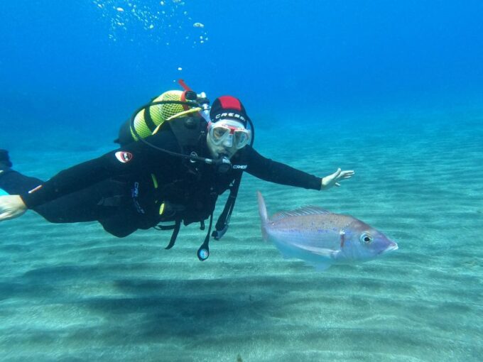 Discover Scuba Diving in the Ocean, Snacks Included - Diving Equipment Provided