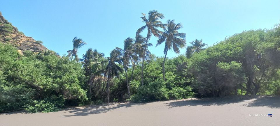 Discover the Black Sand Beach+the Natural Pool - Booking and Cancellation Policy