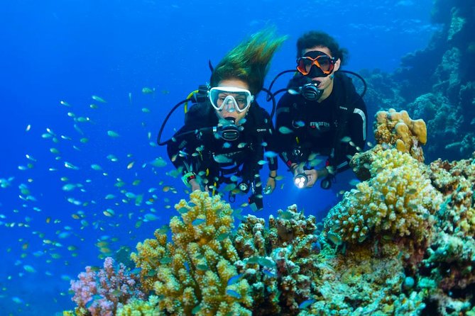 Dive at Tulamben Bali USS Liberty Ship Wreck - Reviews and Ratings