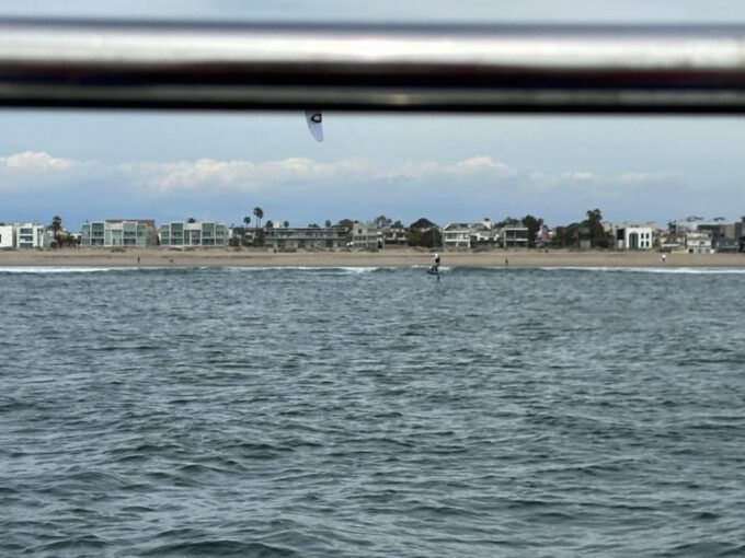 Dolphin Sightings Tour - Booking Details