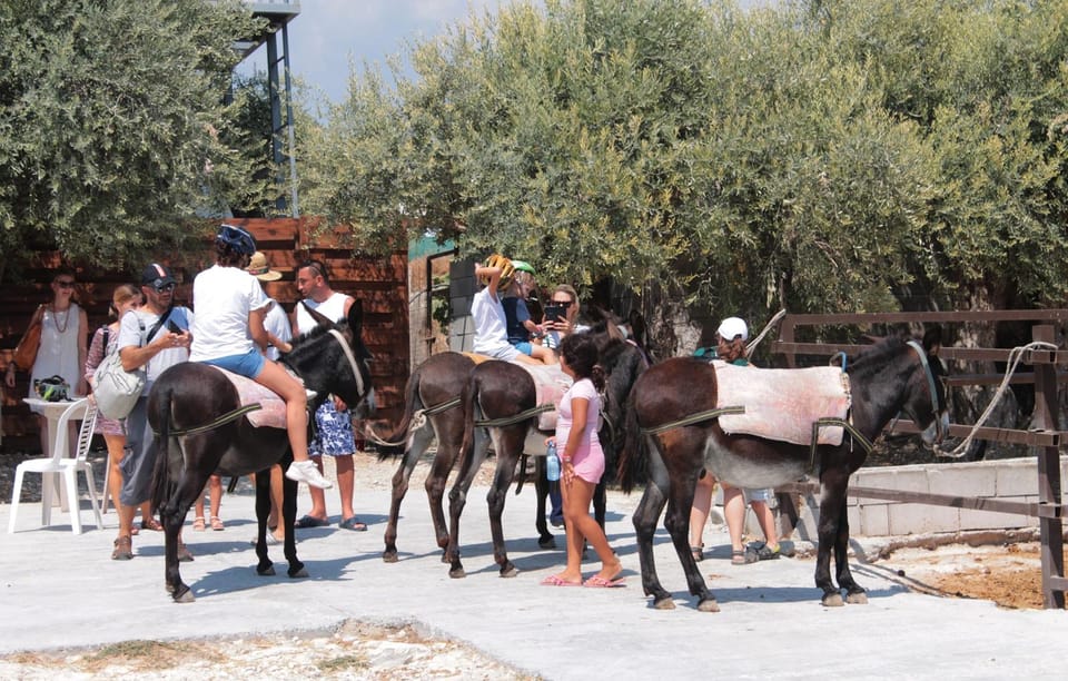 Donkey Safari and Village Tour With Lunch - What to Expect