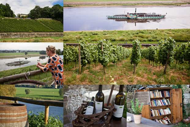 Dresden Bike Tour With Wine Tasting - Language and Minimum Participants