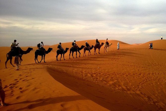 Dubai Red Dunes Safari, Camel Ride, Fire Show, BBQ Dinner - Transportation Details