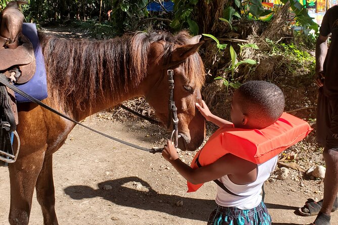 Dunns River Falls Climb, Zipline and Horseback Riding Private Tour - Social Media Engagement