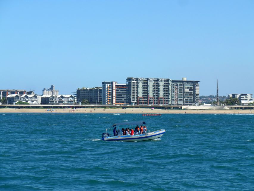 Durban: 1-Hour Boat Cruise From Wilsons Wharf - Vessel Information