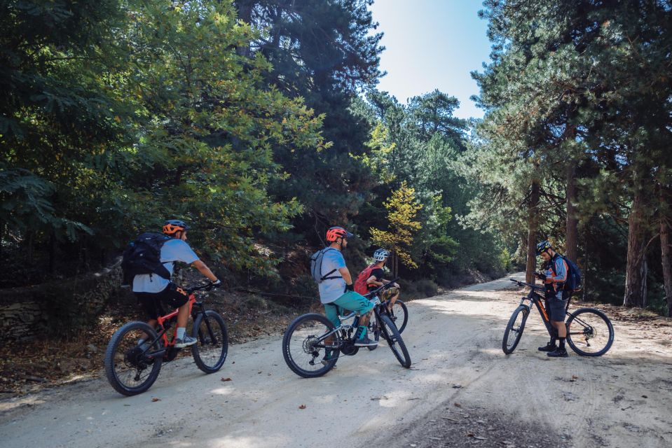 E-Bike Adventure in Thassos Island - Customer Feedback and Ratings