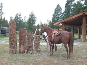 Eagle Ridge Ranch - House Rules and Policies