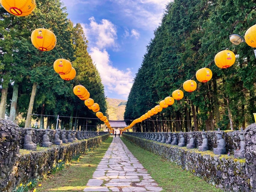 EAST Jeju: All Inclusive Private Tour W/ Tangerine Picking - Jeju World Natural Heritage Center