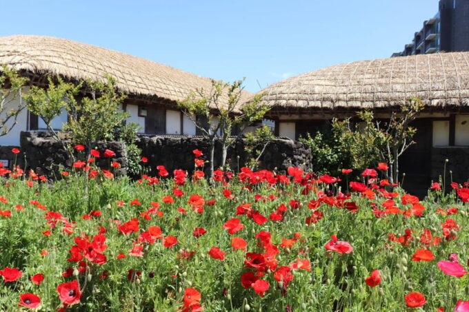 East of Jeju Island Bus Tour From Seogwipo City, Jeju Island - Haenyeo Museum
